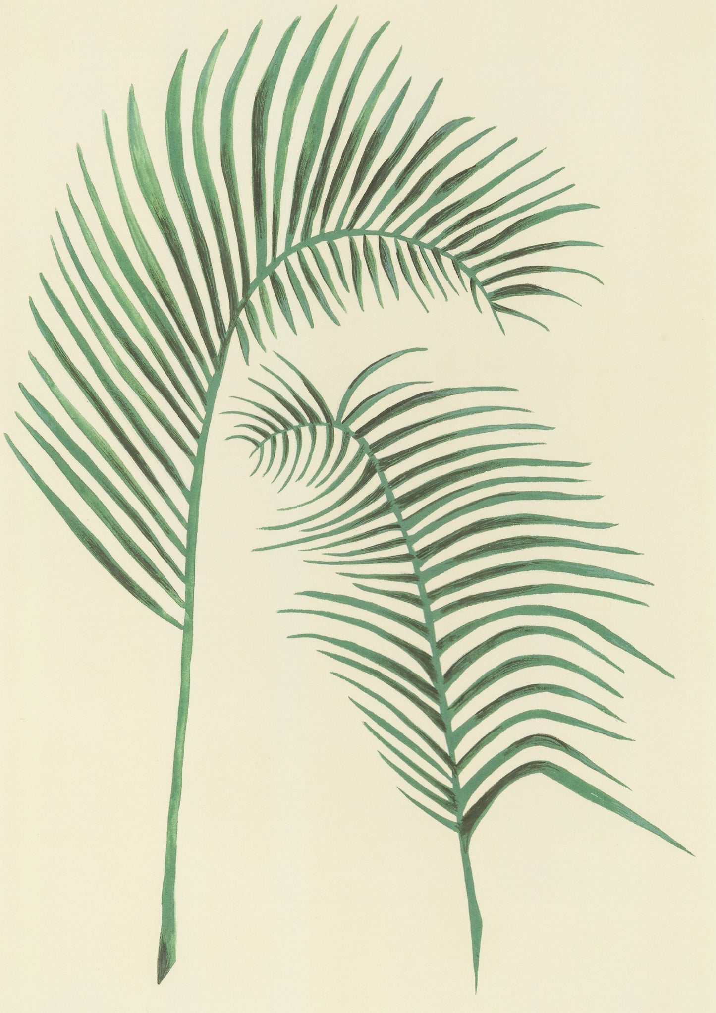 Palms Greeting Card.