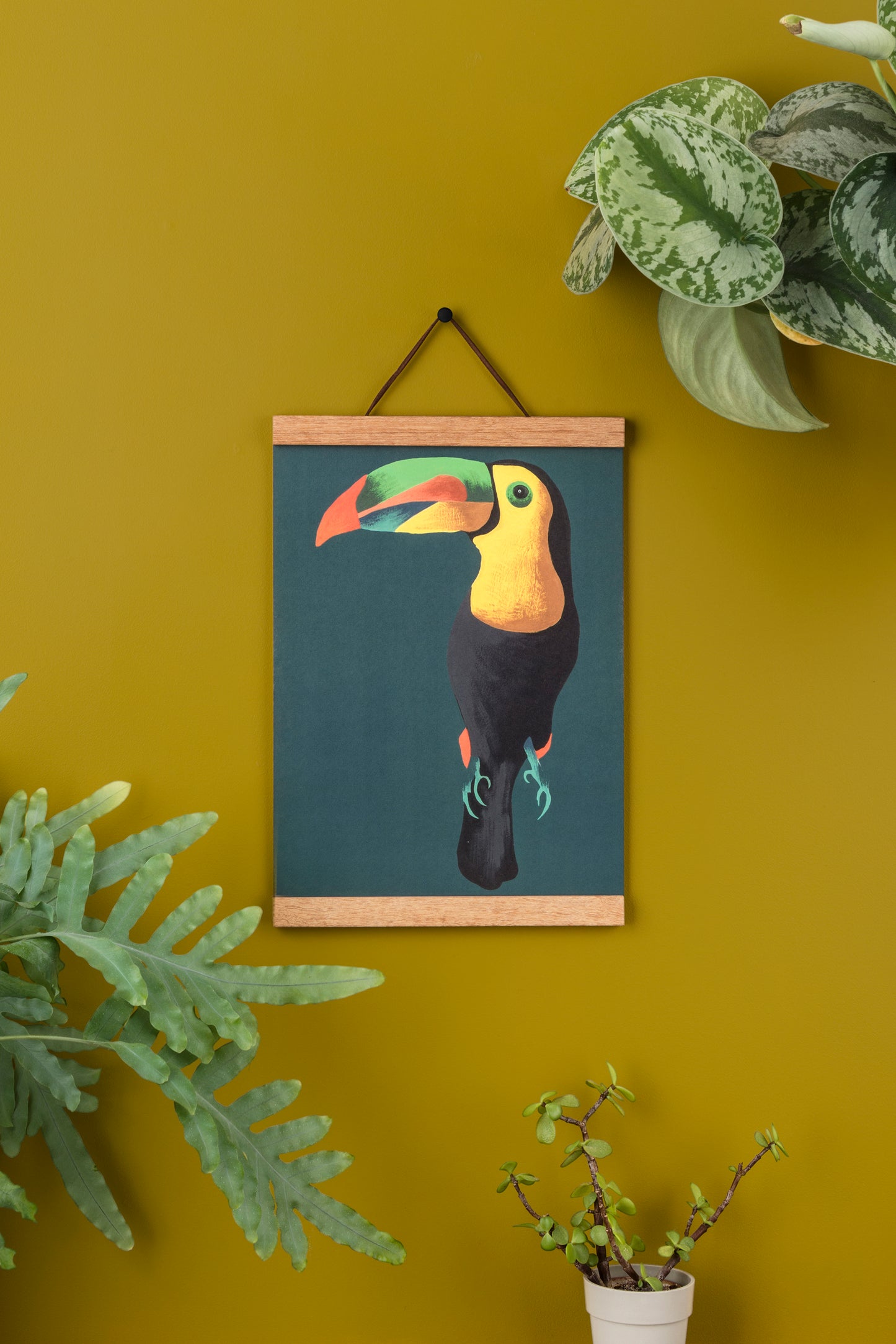 Toucan Art Print. Teal.