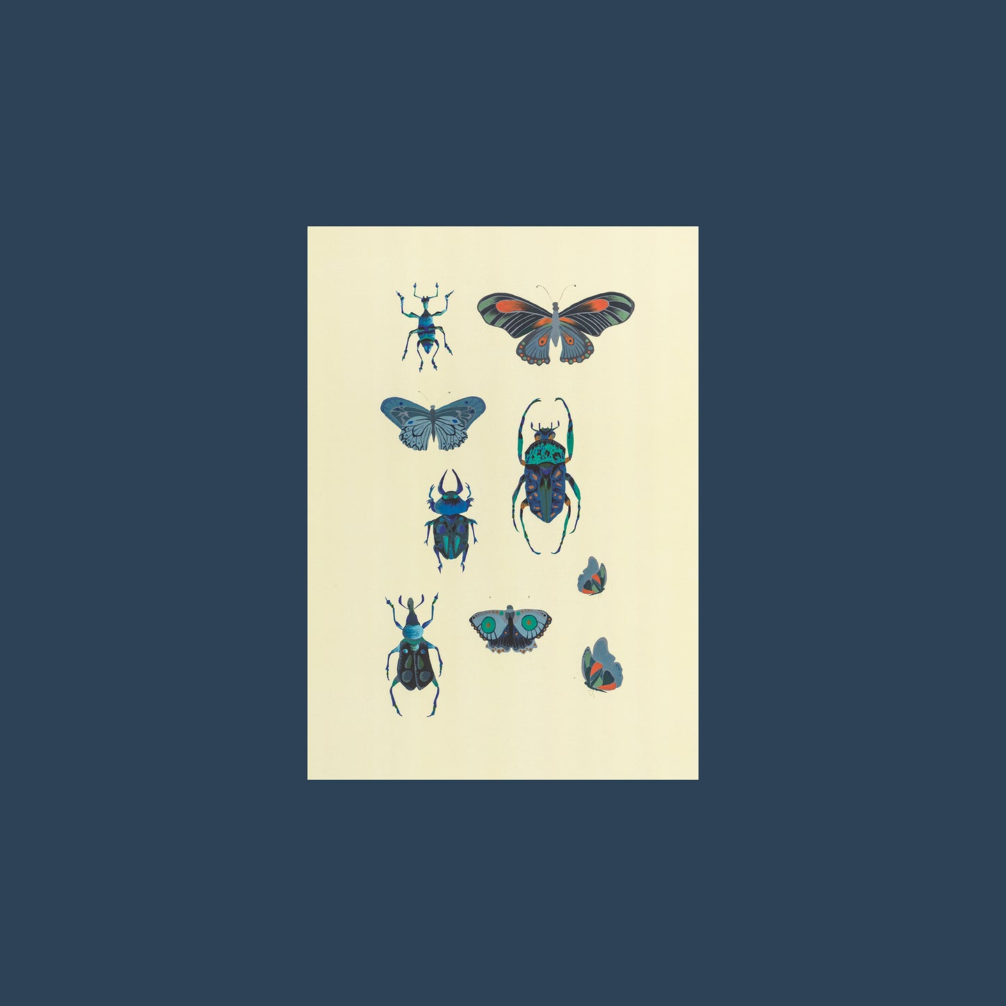 Insects Greeting Card