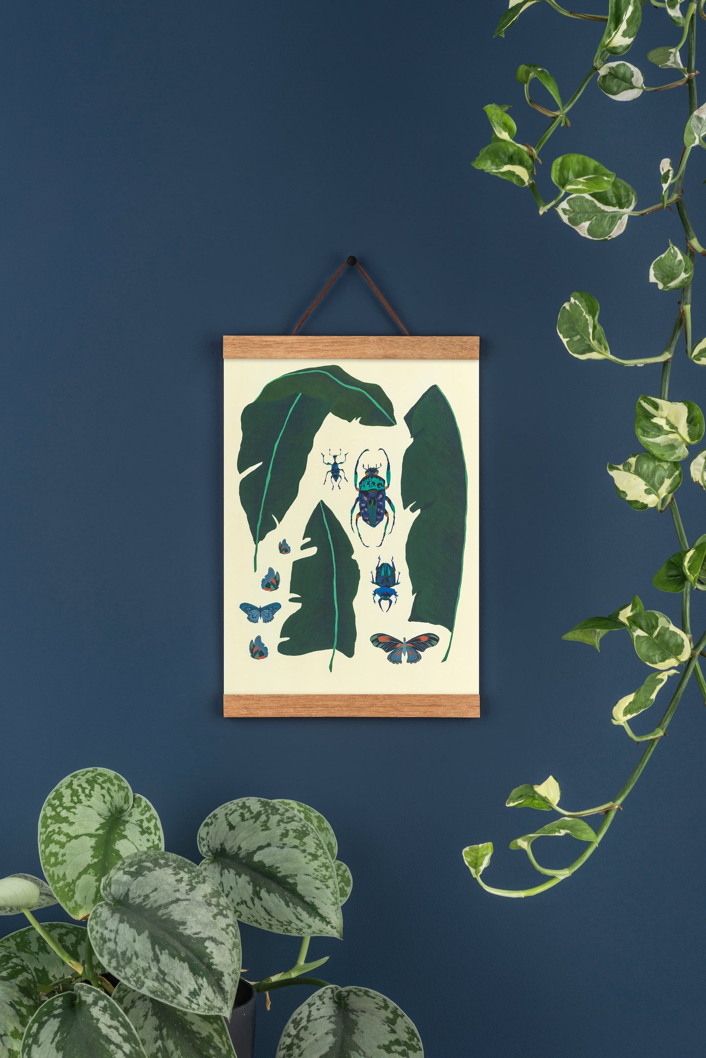 Tropical leaves and insects