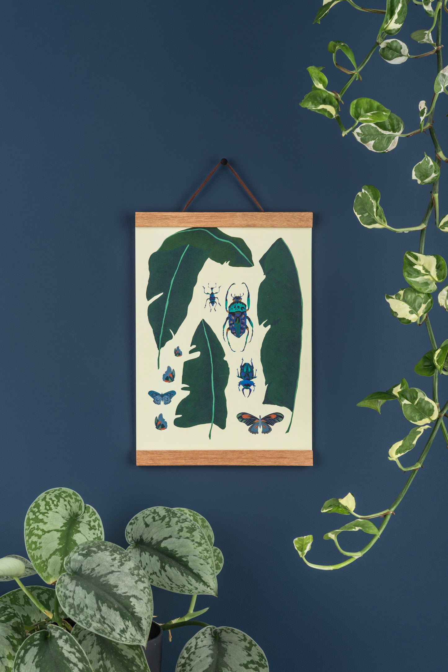Tropical leaves and insects