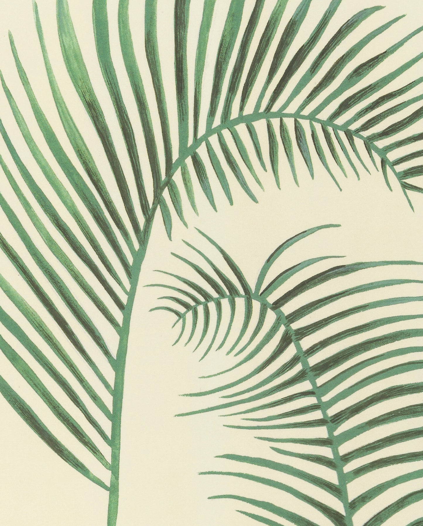 Palms Art Print