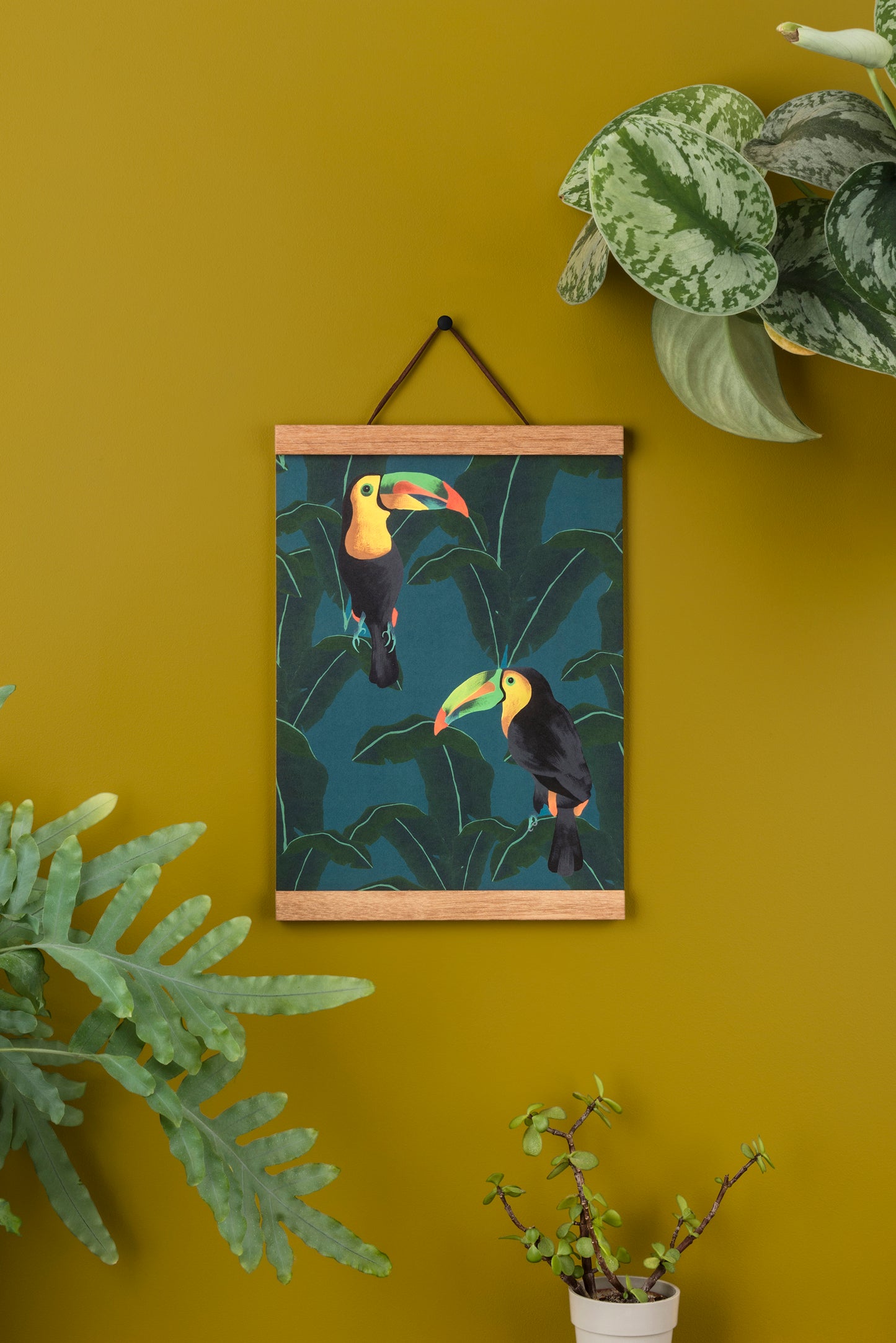 Two Toucans Art Print. A4 Art Print