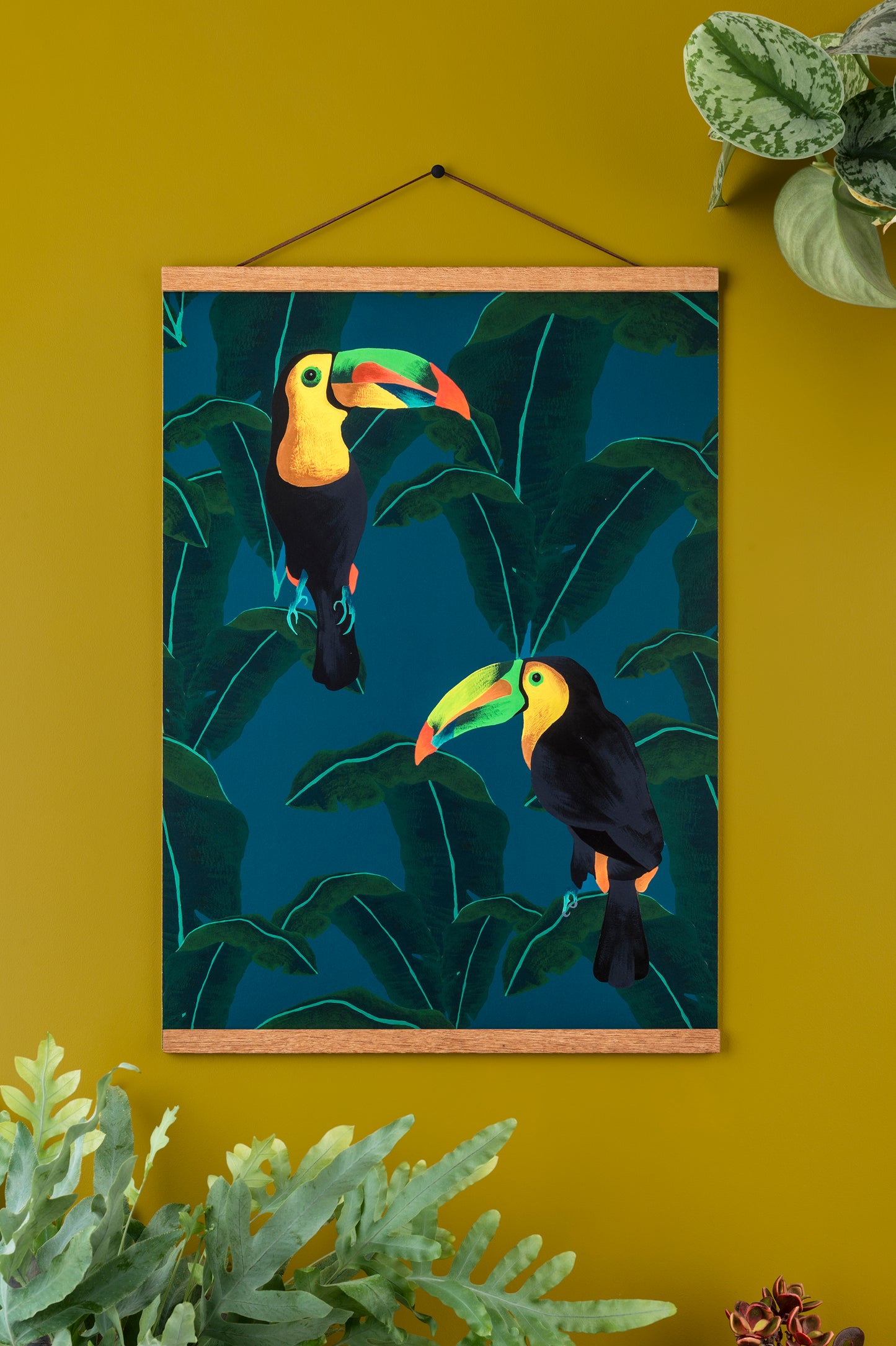 Two Toucans Art Print. A2 Art Print.