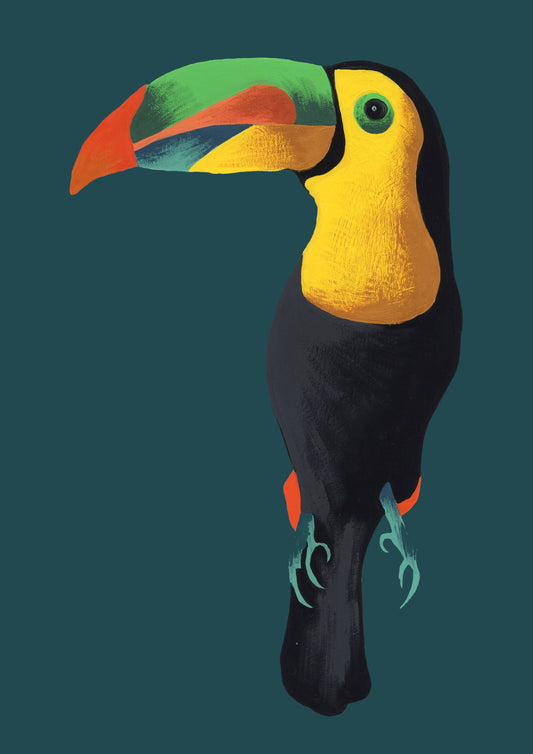 Toucan Art Print. Teal.