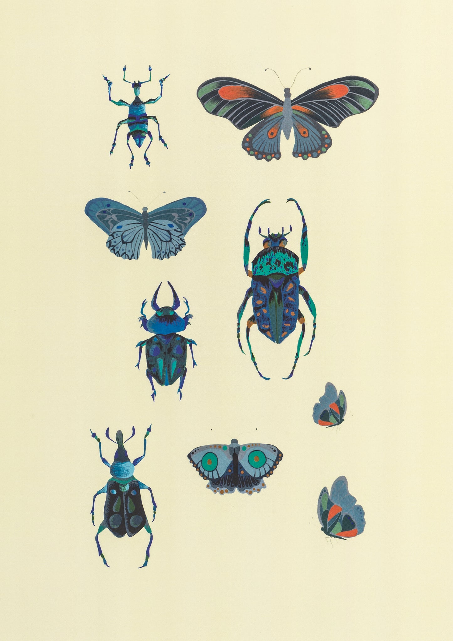 Insects Greeting Card
