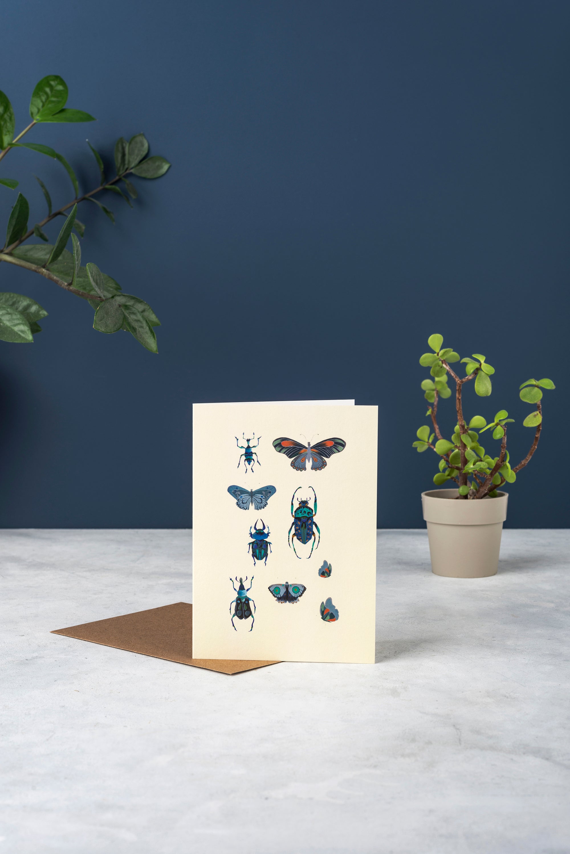 Insects Greeting Card – Quantum Illustration