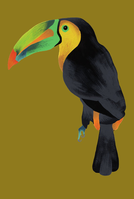 Toucan Art Print. Mustard.