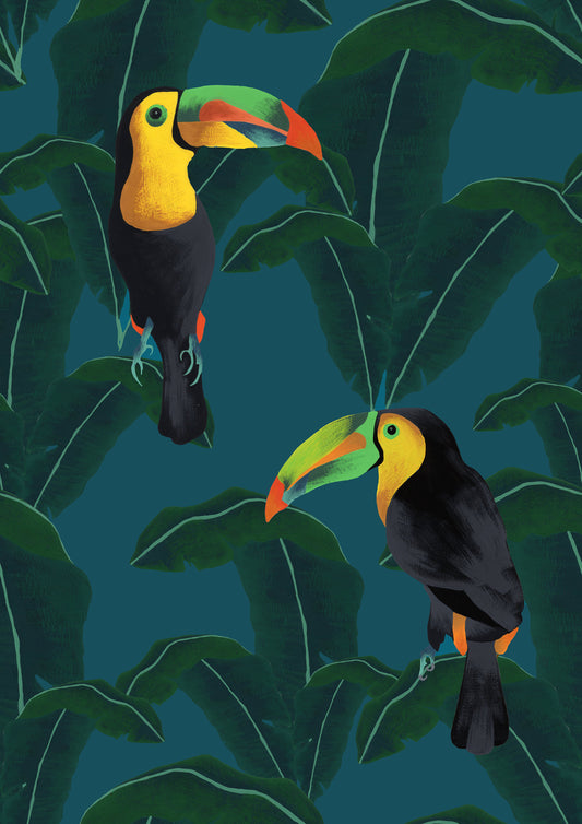 Lover Birds. Two Toucans Art Print. A4 Art Print