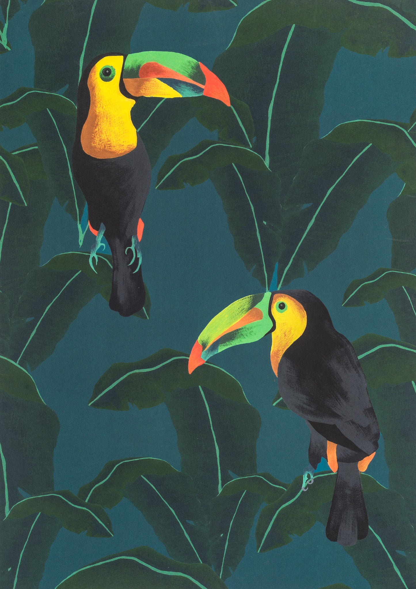 Two Toucans Greeting Card