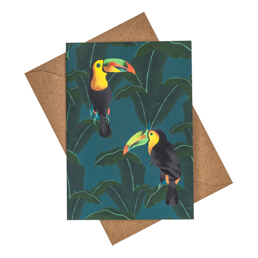 Two Toucans Greeting Card